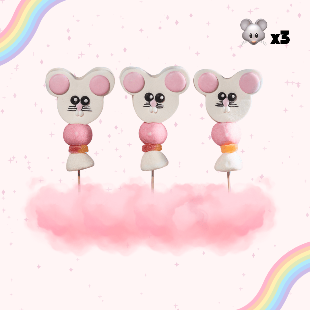Pack 3 Brochettes Souris 🐭